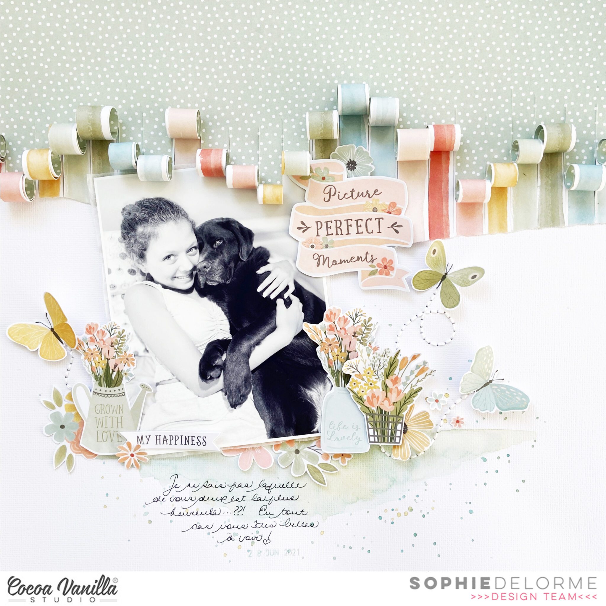 Picture Perfect Moments | These Days | Sophie Delorme | Cocoa Vanilla ...